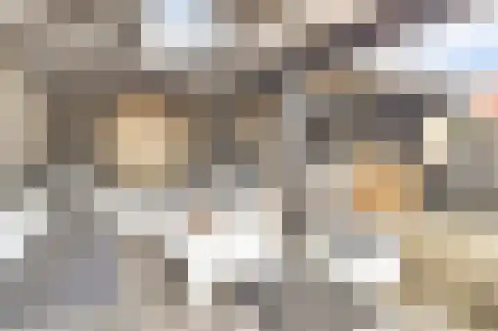 Waag 60 Wijk bij Duurstede thumbnail 64