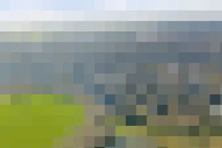 Waag 60 Wijk bij Duurstede thumbnail 73