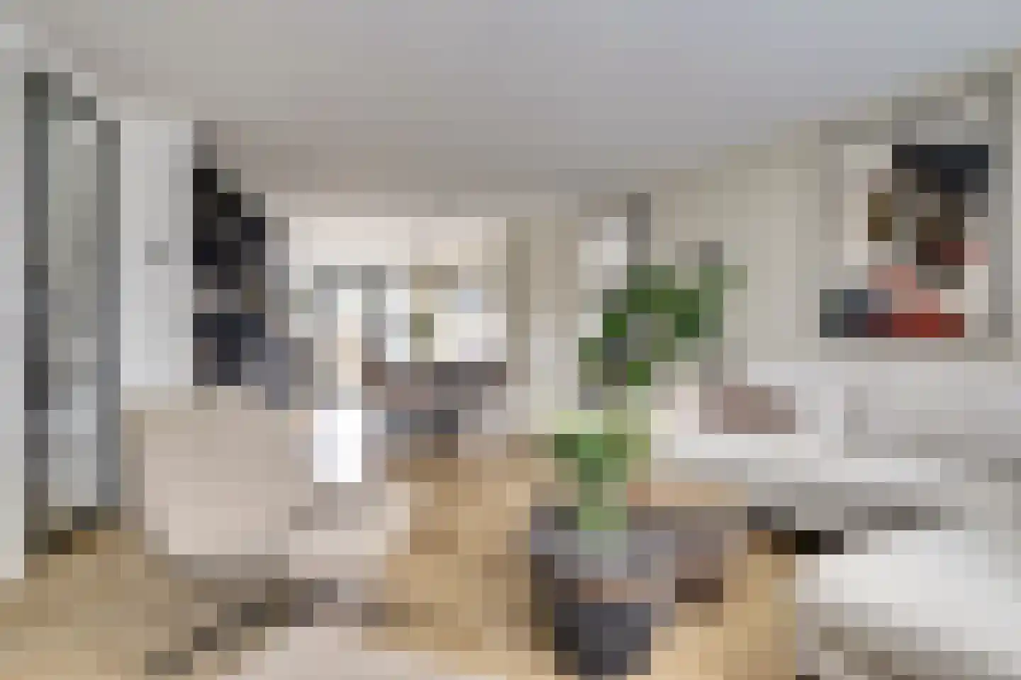 Waag 60 Wijk bij Duurstede thumbnail 8
