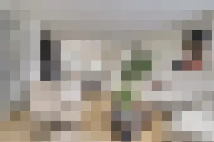 Waag 60 Wijk bij Duurstede thumbnail 8