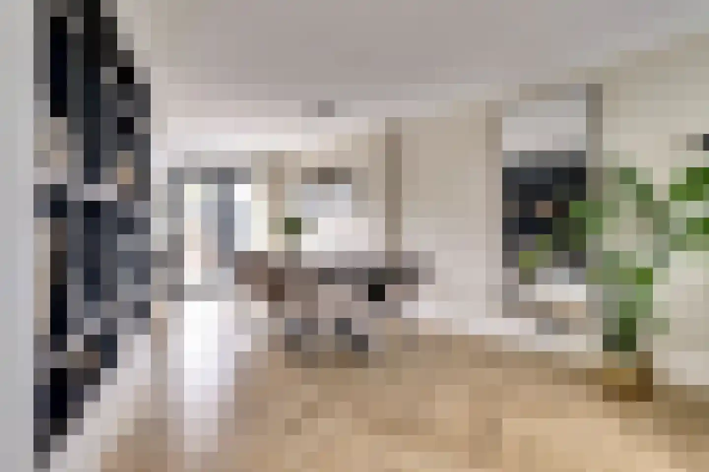 Waag 60 Wijk bij Duurstede thumbnail 9