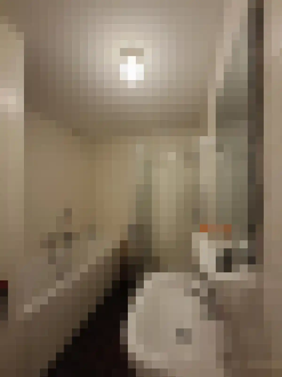 Waagdragerhof 44 Amsterdam thumbnail 5
