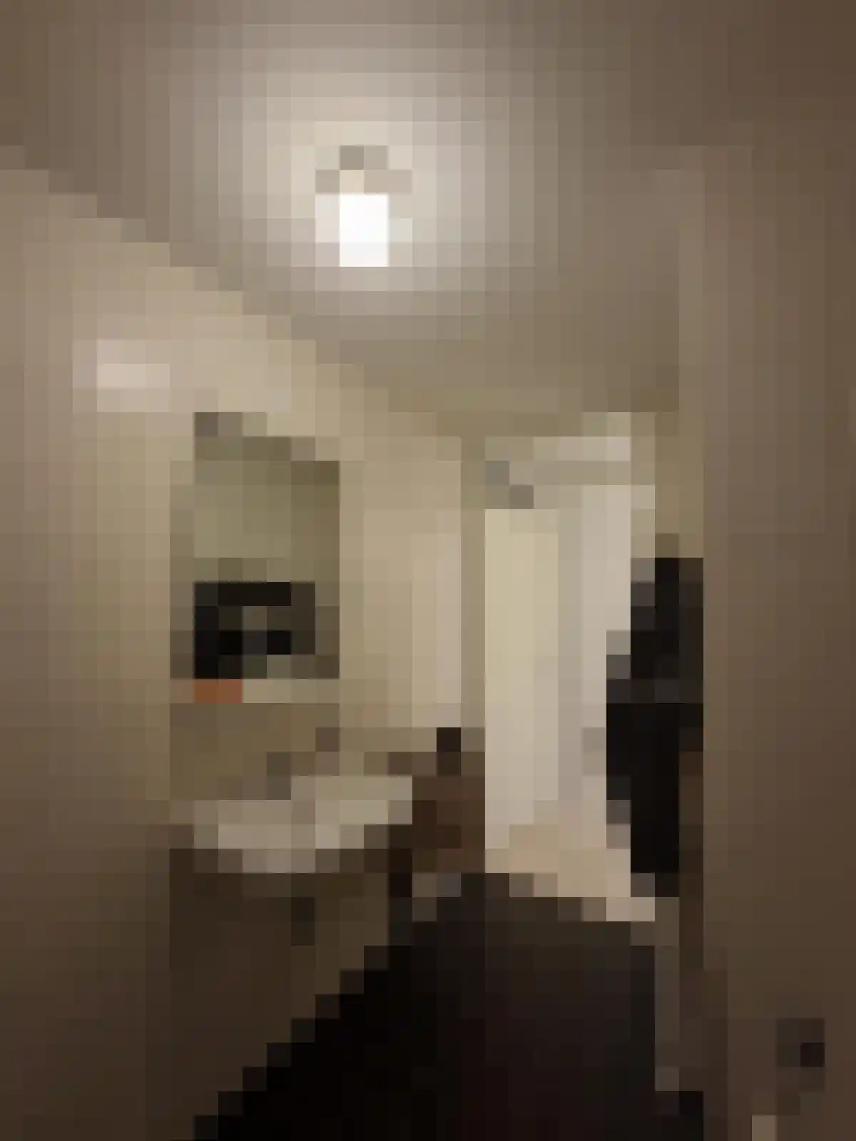 Waagdragerhof 44 Amsterdam thumbnail 6