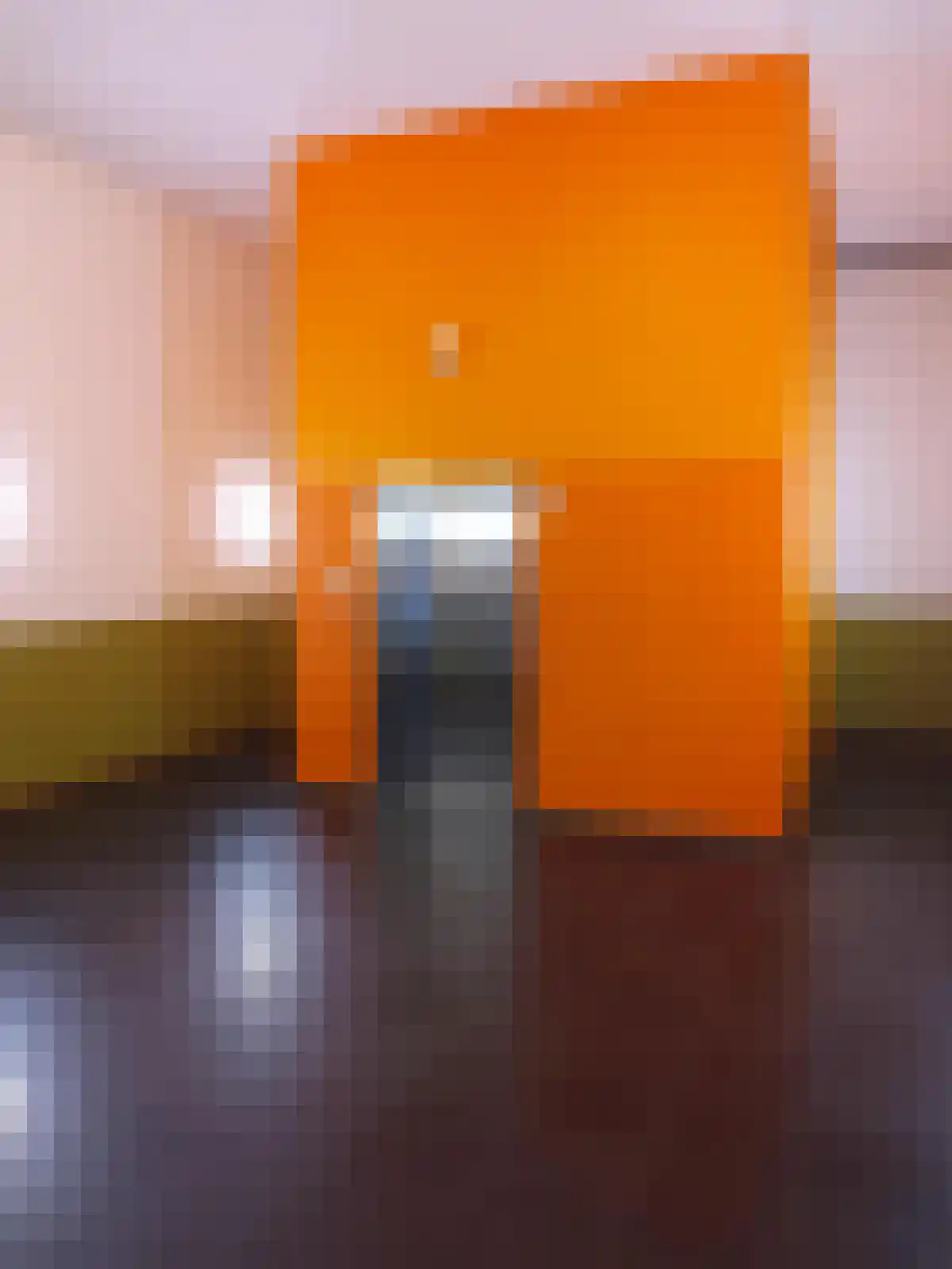 Waagdragerhof 64 Amsterdam thumbnail 6