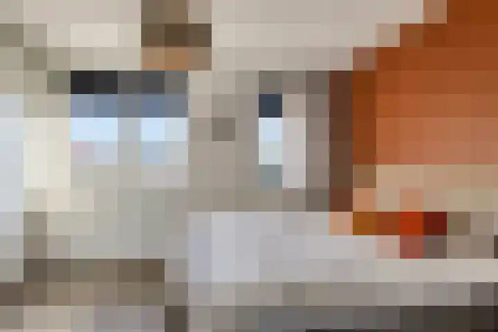 Waagmeester 26 Veenendaal thumbnail 10