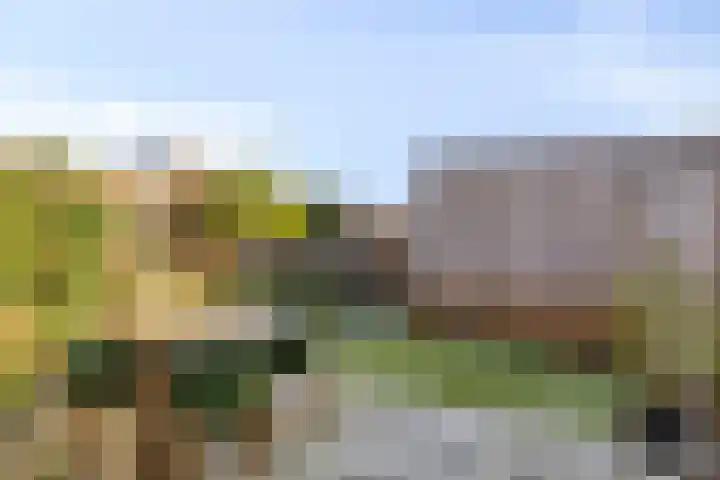 Waagmeester 26 Veenendaal thumbnail 18