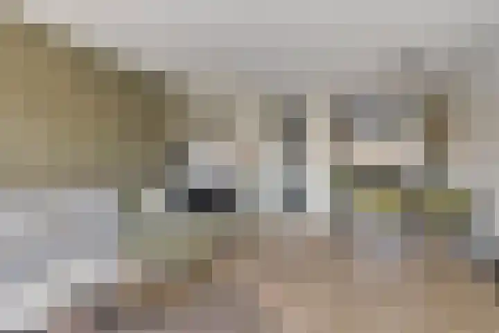 Waagmeester 26 Veenendaal thumbnail 5