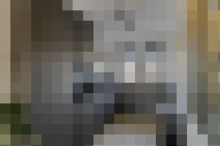 Waagmeester 26 Veenendaal thumbnail 8
