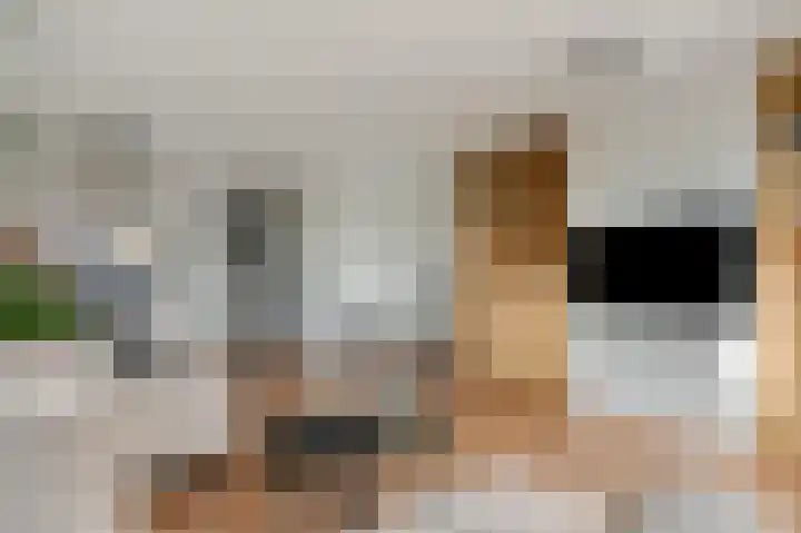Waagmeester 32 Veenendaal thumbnail 11