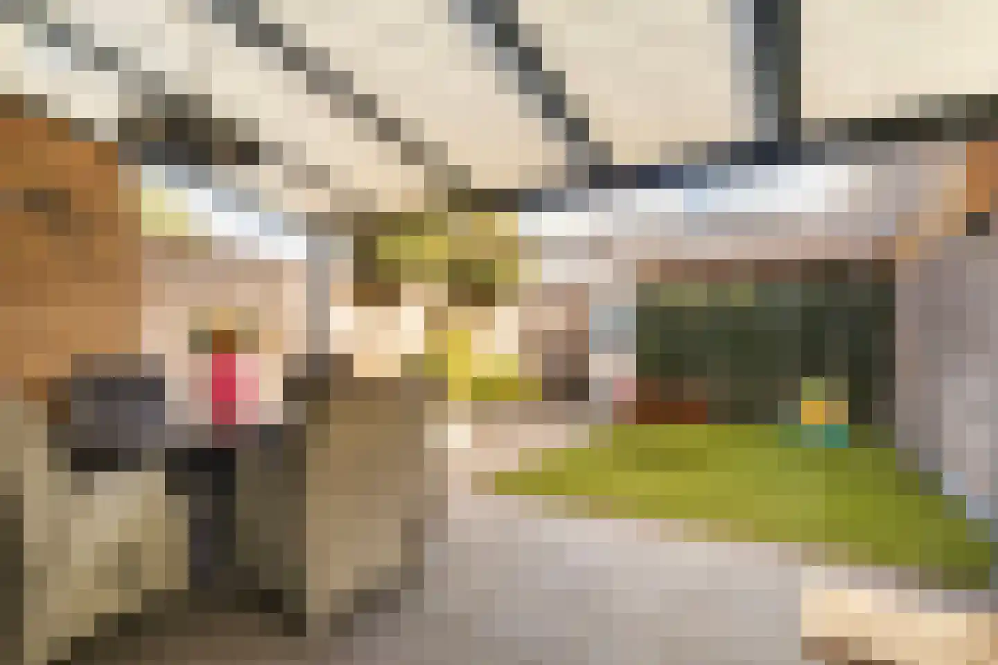 Waagmeester 46 Veenendaal thumbnail 37
