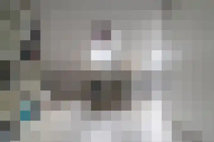 Waagmeester 50 Veenendaal thumbnail 25
