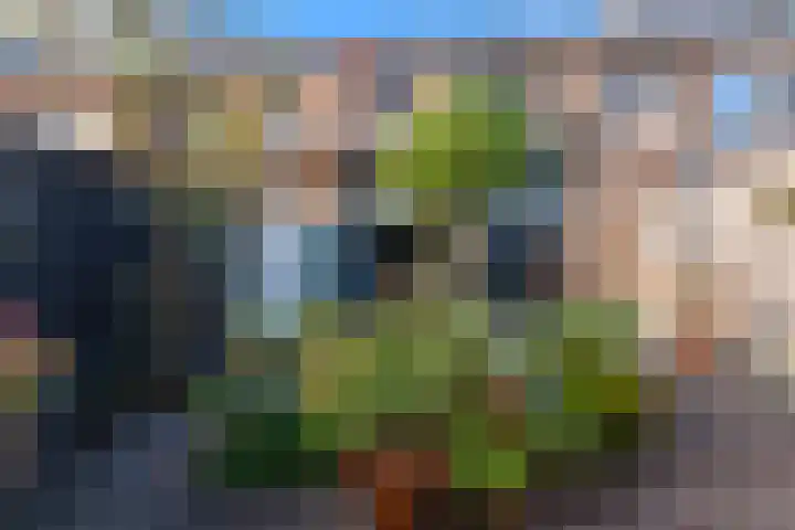 Waagmeester 50 Veenendaal thumbnail 31