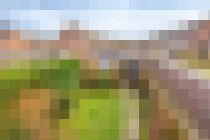 Waagmeesterlaan 2 IJsselstein thumbnail 22