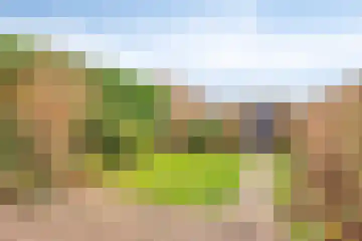 Waagmeesterlaan 2 IJsselstein thumbnail 24