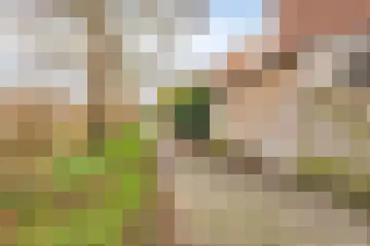 Waagmeesterlaan 2 IJsselstein thumbnail 28