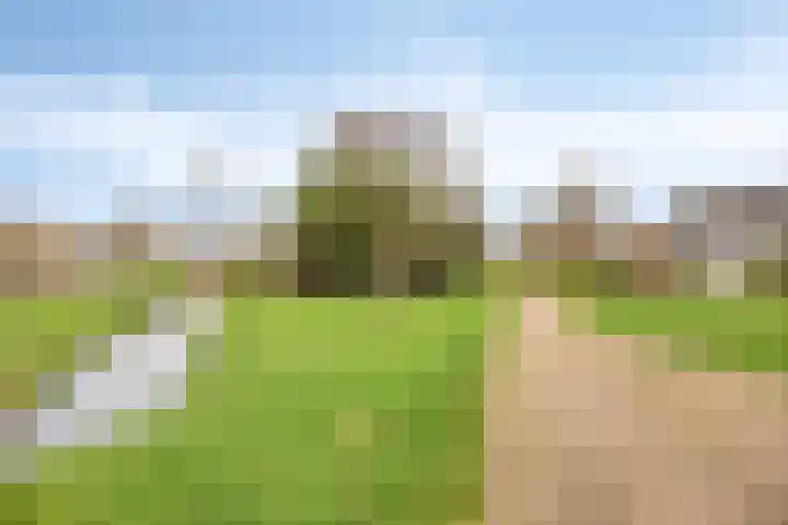 Waagmeesterlaan 2 IJsselstein thumbnail 30