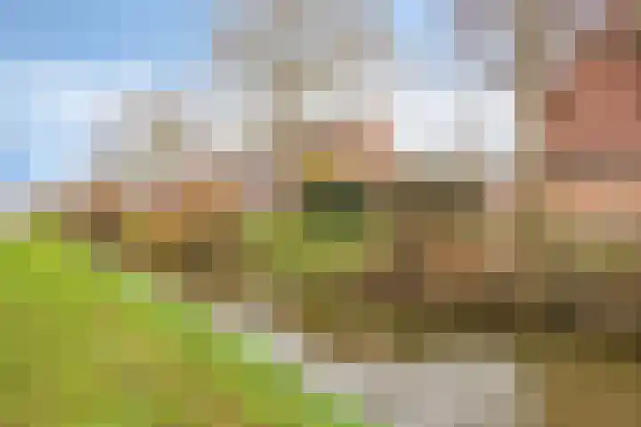 Waagmeesterlaan 2 IJsselstein thumbnail 31