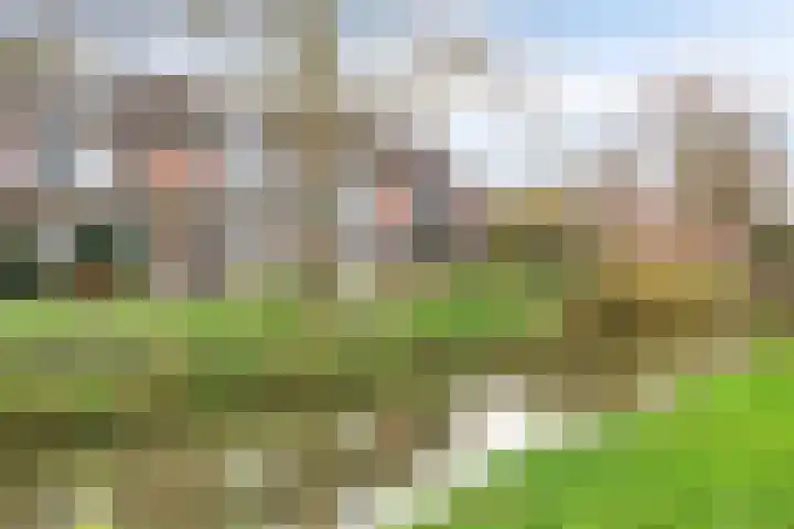 Waagmeesterlaan 2 IJsselstein thumbnail 35