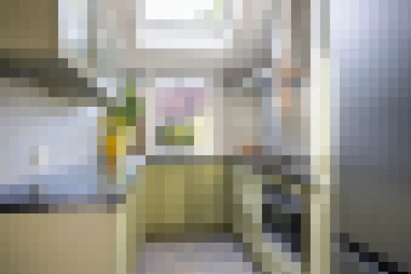 Waagmeestershoeve 306 Apeldoorn thumbnail 13