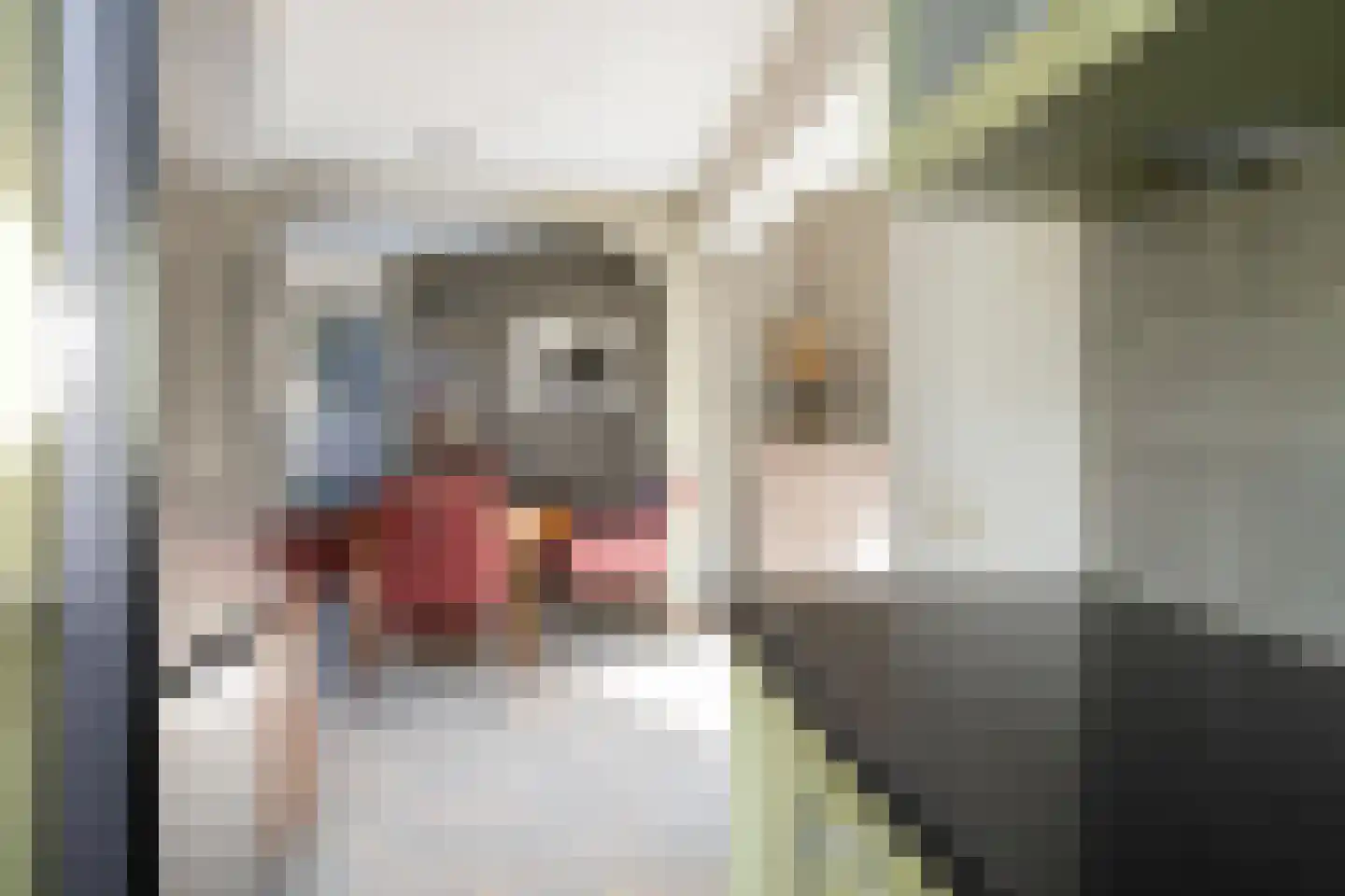 Waagmeestershoeve 306 Apeldoorn thumbnail 15