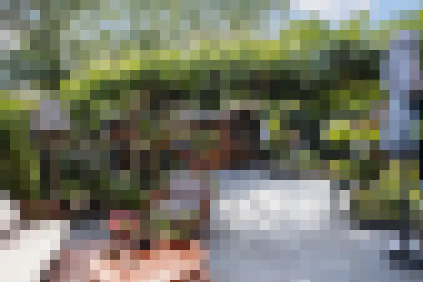 Waagmeestershoeve 306 Apeldoorn thumbnail 16