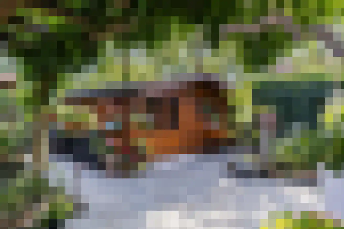 Waagmeestershoeve 306 Apeldoorn thumbnail 17
