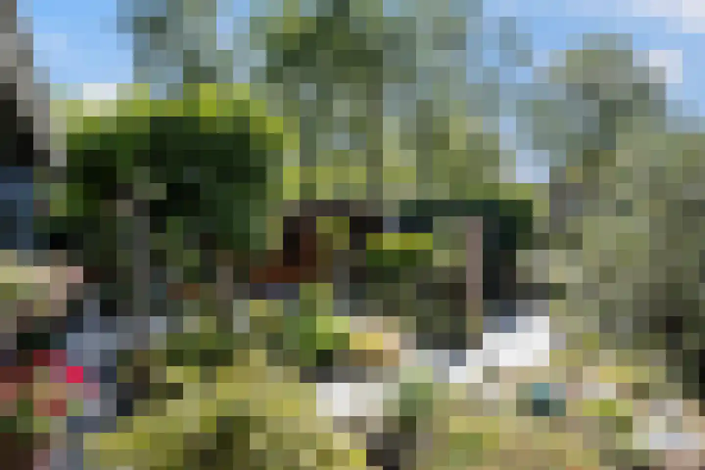 Waagmeestershoeve 306 Apeldoorn thumbnail 19