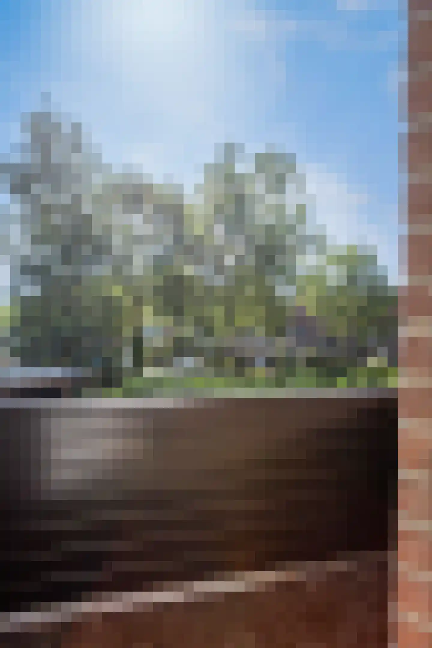 Waagmeestershoeve 306 Apeldoorn thumbnail 32