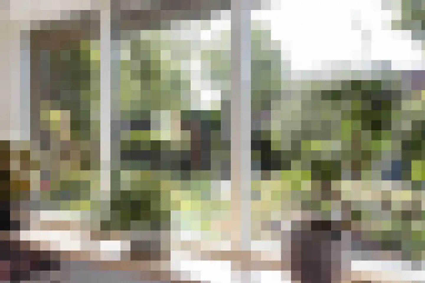 Waagmeestershoeve 306 Apeldoorn thumbnail 5