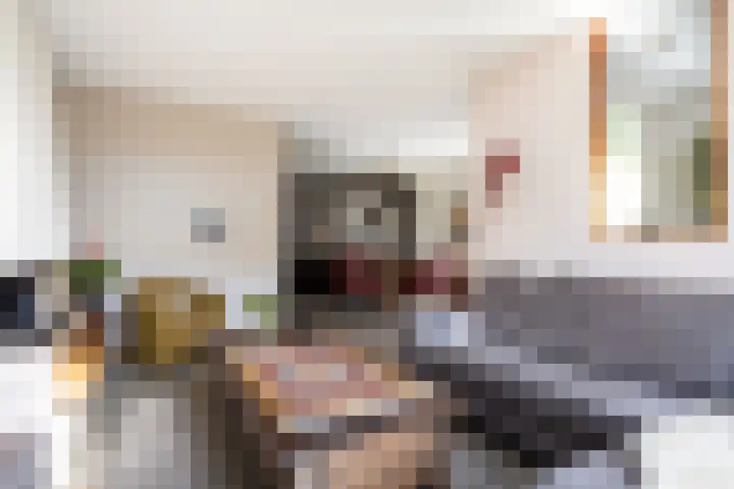 Waagmeestershoeve 306 Apeldoorn thumbnail 6