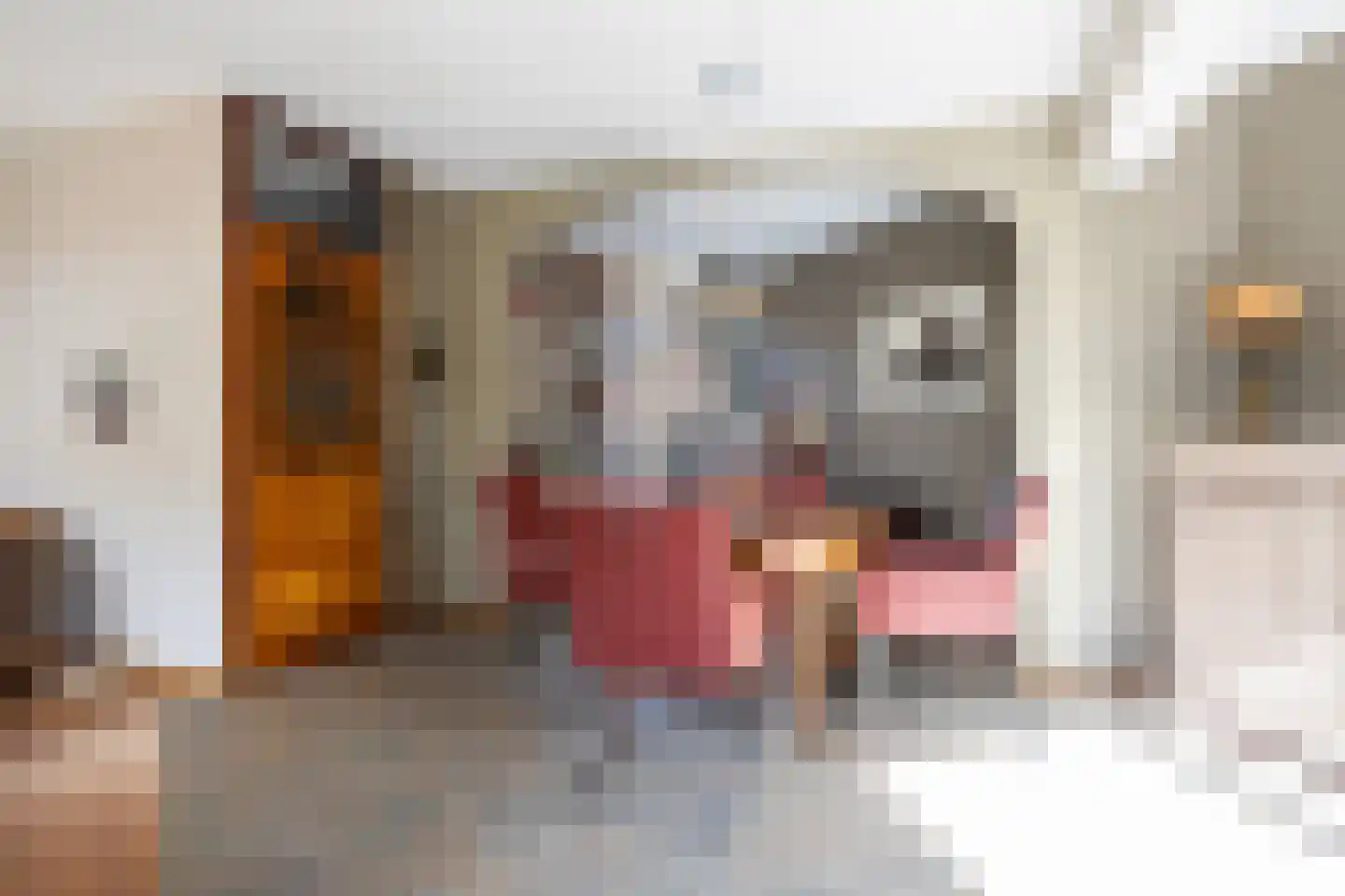 Waagmeestershoeve 306 Apeldoorn thumbnail 8