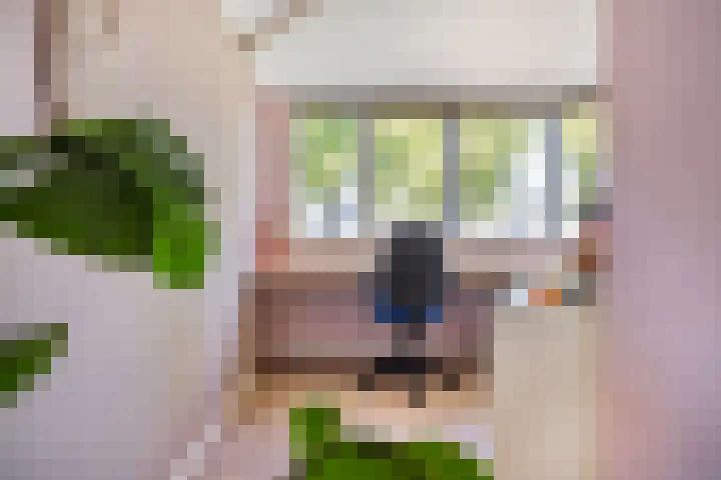 Waagmeestershoeve 501 Apeldoorn thumbnail 17