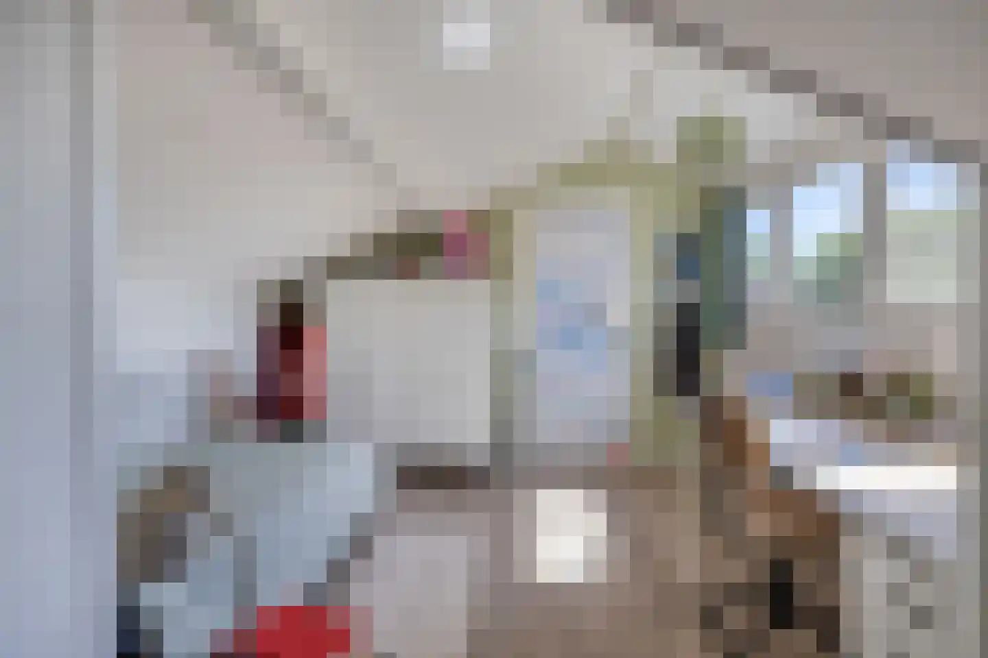 Waagmeestershoeve 501 Apeldoorn thumbnail 28