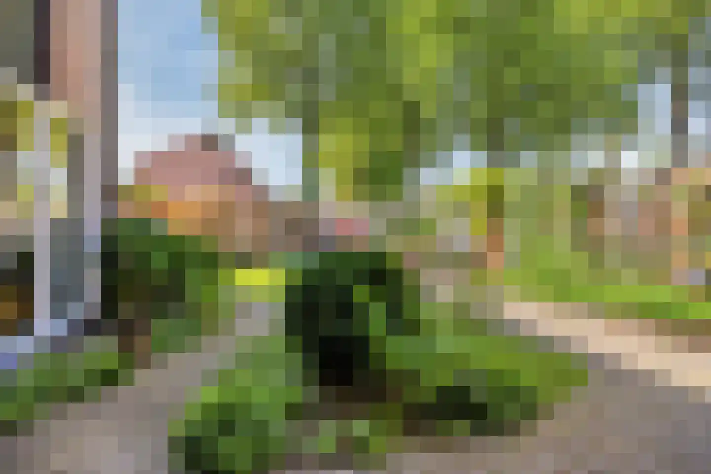 Waagmeestershoeve 501 Apeldoorn thumbnail 29