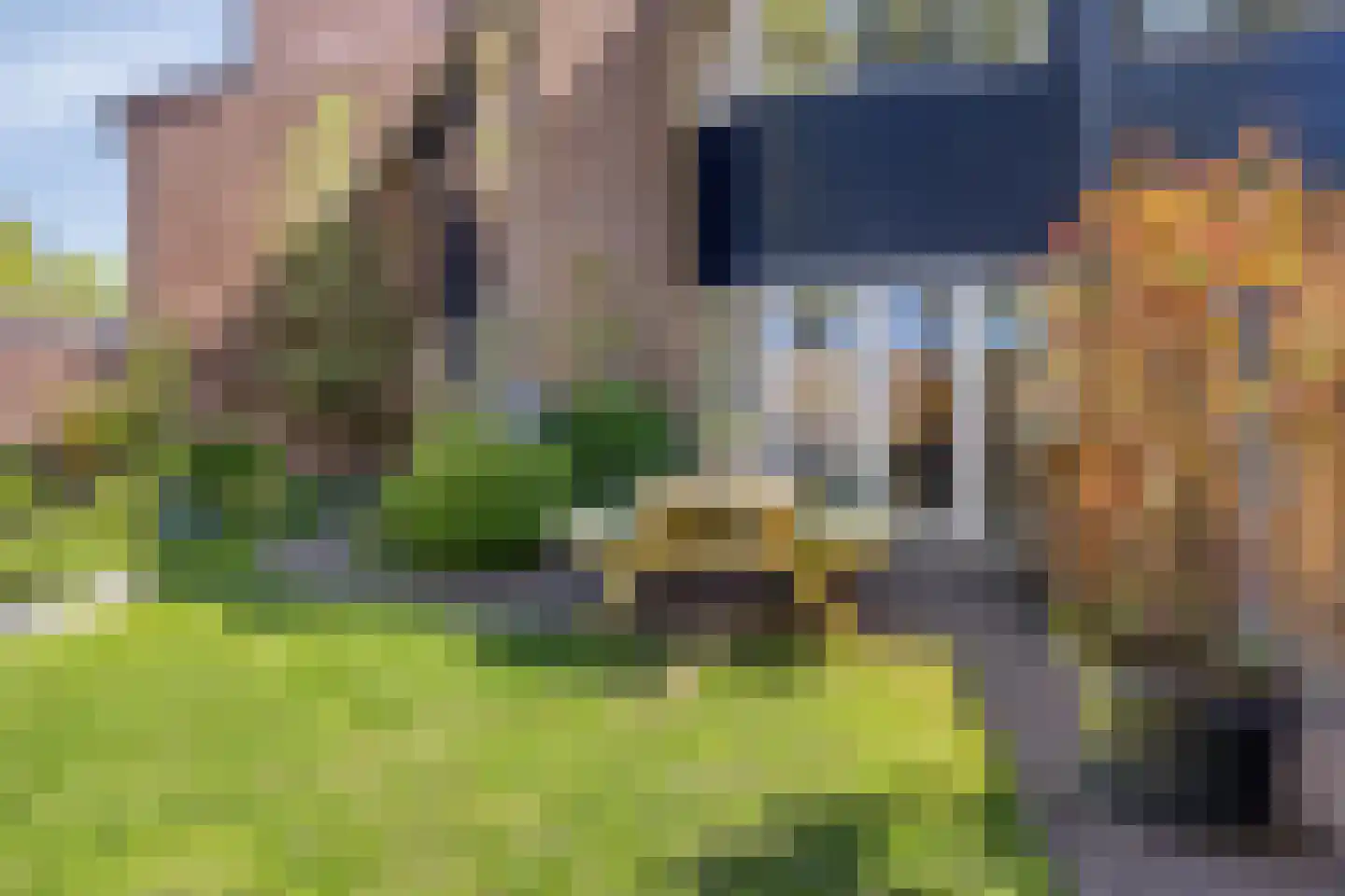 Waagmeestershoeve 501 Apeldoorn thumbnail 32