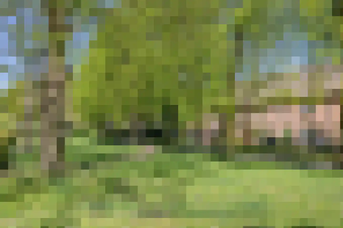 Waagmeestershoeve 501 Apeldoorn thumbnail 39