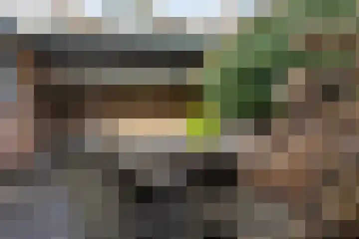 Waagmeestersstraat 9 Schoonhoven thumbnail 39