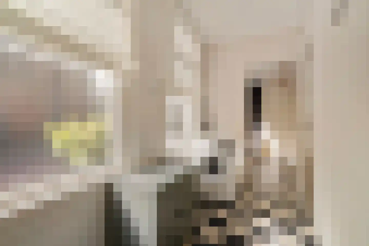 Waagplein 14 Weesp thumbnail 41