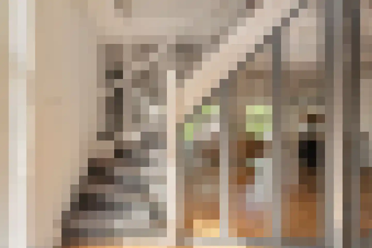 Waagplein 14 Weesp thumbnail 7