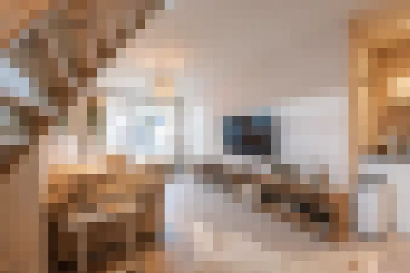 Waagsteeg 3 Makkum thumbnail 10