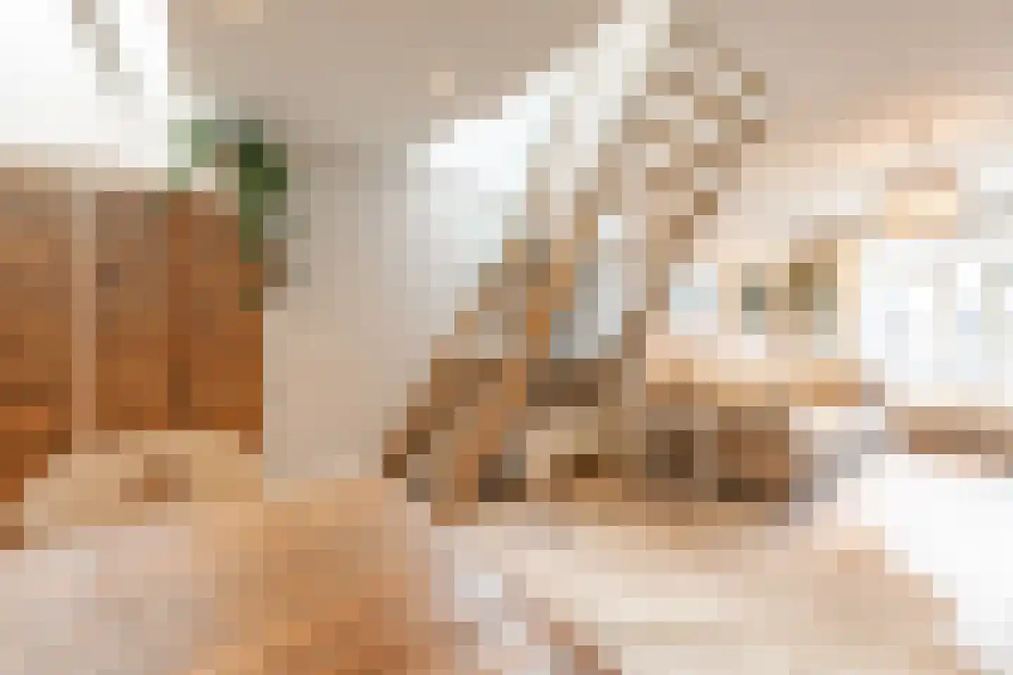 Waagsteeg 3 Makkum thumbnail 12