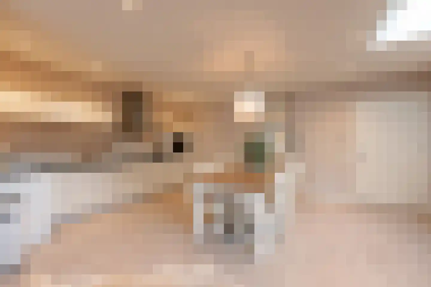 Waagsteeg 3 Makkum thumbnail 13