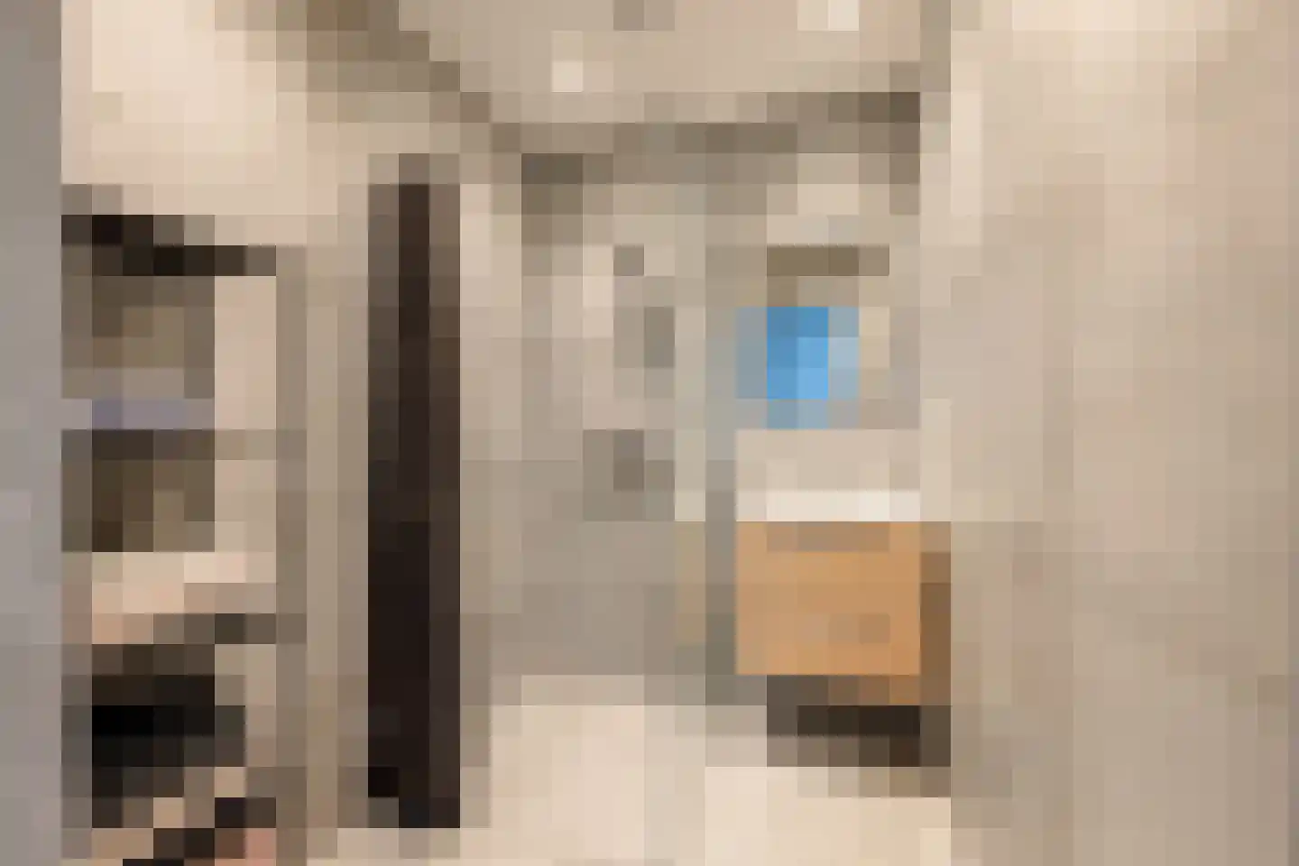 Waagsteeg 3 Makkum thumbnail 18