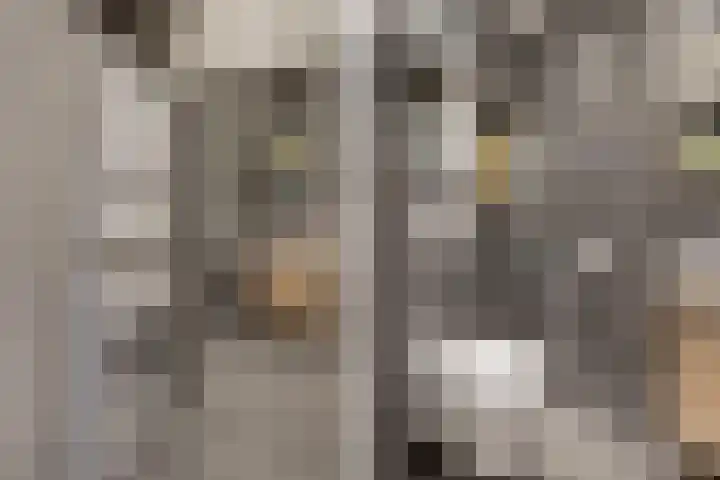 Waagstraat 4 Franeker thumbnail 20