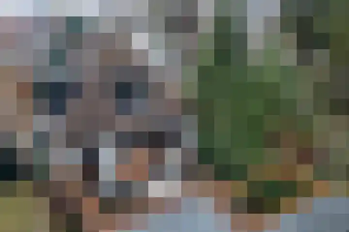 Waagstraat 4 Franeker thumbnail 26