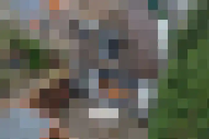 Waagstraat 4 Franeker thumbnail 27