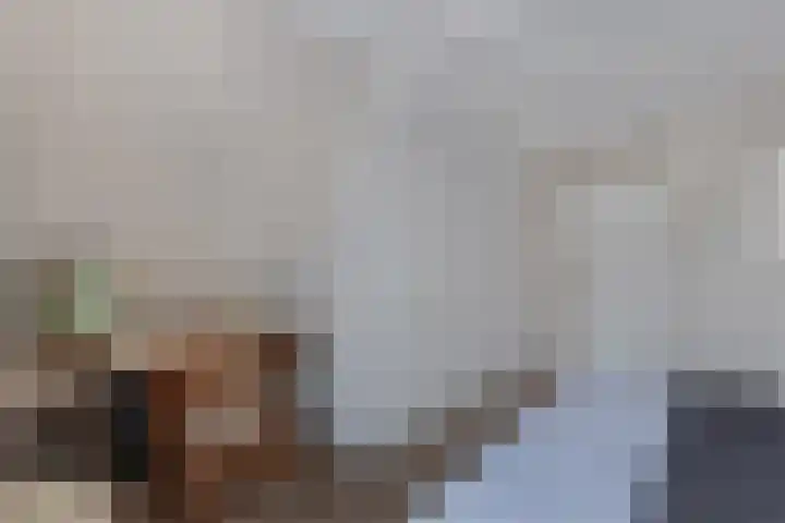 Waagstraat 4 Franeker thumbnail 33