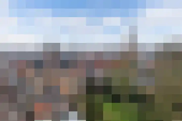 Waagstraat 4 Franeker thumbnail 5