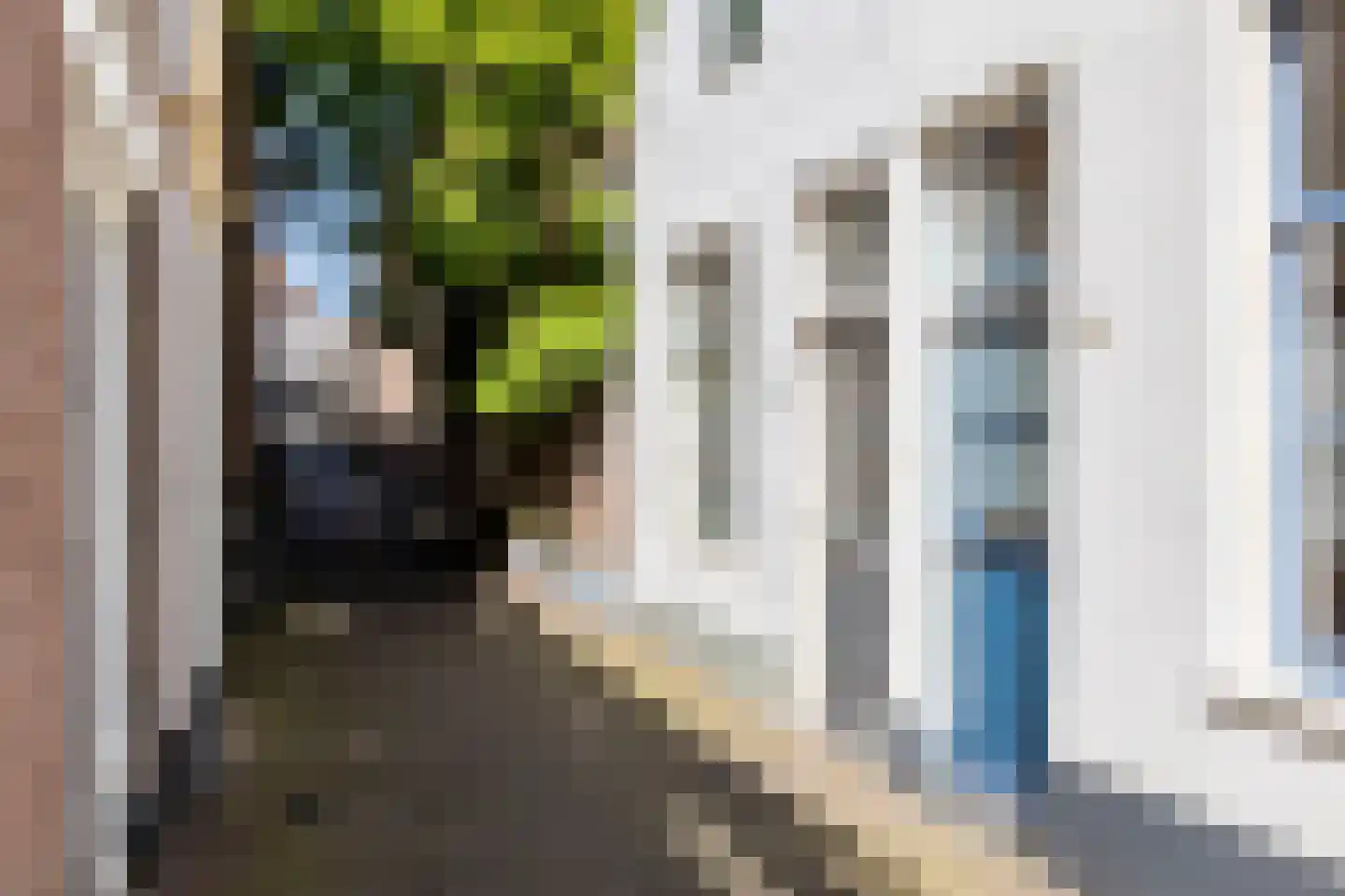 Waagstraat 4 Schoonhoven thumbnail 35
