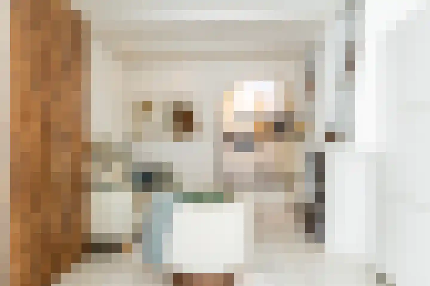Waagstraat 4 Schoonhoven thumbnail 8